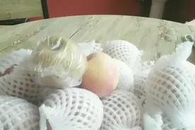 淘宝买了一箱10斤装的红富士苹果，只要13元还包邮，到货后都惊了视频封面