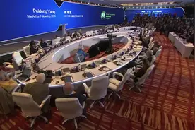 2015年麦克阿瑟天才奖杨培东发言