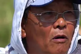 如何快速分辨各类鱼的鱼泡？