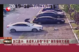 15岁小姑娘好奇“开车”，误踩油门撞倒充电桩，母亲发现开车逃逸视频封面