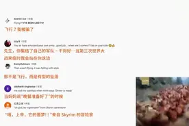 外国网友评论：中国农村鸡因抢食飞下悬崖，太有才啦视频封面