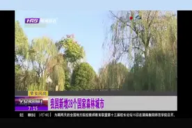 我国新增28个国家森林城市，目前城市总数达到194个，有你家乡吗视频封面