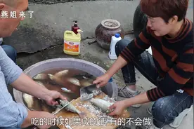 腌制咸鱼只需要2小时，好学好吃又省钱，小猫闻到都舍不得走