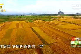 第一书记：广西隆安县地处右江河谷，是广西水稻的主产区视频封面