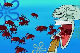 海绵宝用蜘蛛蛋做饼干，章鱼哥吃了嘴里全是小蜘蛛