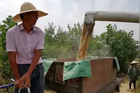 潜江湿稻谷1斤9毛多钱，1亩田卖1000多块钱，成本就要900多视频封面