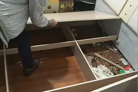 家里床底下有异响，估计是老鼠，小伙翻开床板吓了一跳！视频封面