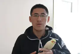 中华典故之三石（dan）之弓视频封面