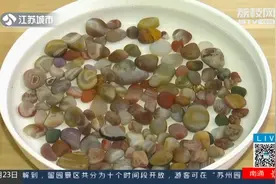 打卡南京买雨花石，景区买的却能燃烧，你买的可能是假货！视频封面