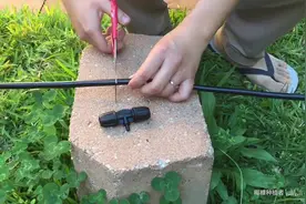 重力式无土栽培滴灌系统视频封面