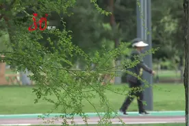 哈尔滨：公交老年卡 何时才能办视频封面