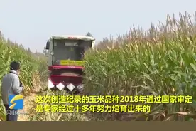 平均亩产867.5公斤！聊城市夏播玉米籽粒机收创高产新纪录视频封面