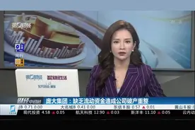 一夜之间被*ST，庞大集团：缺乏流动资金造成公司破产重整视频封面
