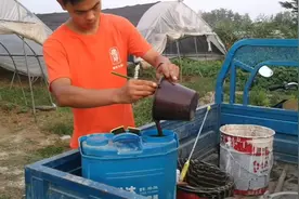 有机种植的蔬菜也打农药除虫防病，那去看看他们用的是什么农药视频封面