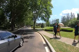 棒槌岛是个4A级景区，曾是政要接待地，现在可以接待婚宴视频封面