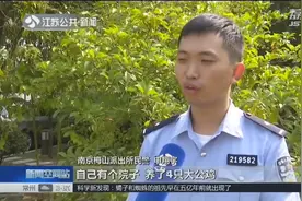 老大爷自家院内养鸡别人管不着？错的！犯法！饲养宠物别任性！