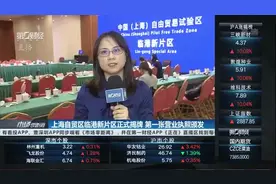 上海自贸区临港新片区正式挂牌，第一张营业执照颁发视频封面