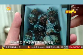 60只螃蟹速运发臭变质，顺丰冷链保鲜疑“掉链子”，损失谁承担？