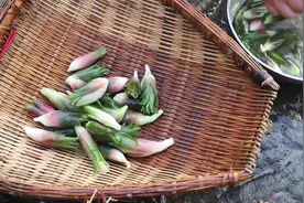 这个小菜叫洋荷，大部分人都没见过，更没吃过！