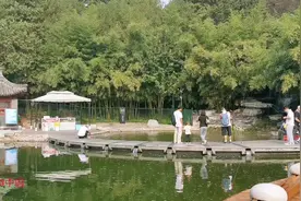 北京这家人气超旺的公园，游人如织，各种跳舞表演视频封面