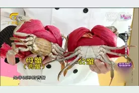 一招教你如何辨别螃蟹公母，一挑一个准，方法简单又实用！