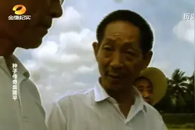 袁隆平的“南优2号”杂交水稻，当年全国试种喜丰收,亩产623公斤视频封面