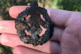 这是二战时期的“药膏”？时隔几十年好像还能用！视频封面