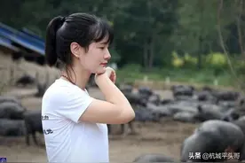 95后女大学生毕业回乡养猪，为了女儿婚事父母欲陪嫁300头猪图片