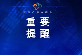 见证重启！武汉两条过江隧道恢复通行图片