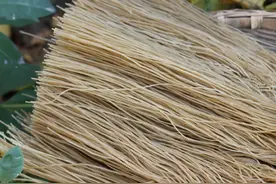 如何分辨粉条“真假”？粉条作坊大妈：只需5步，轻松避开假粉条图片