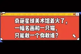 聊聊历史上险被烧毁，一半在台湾，一半在大陆的《富春山居图》图片