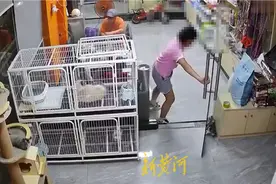 夹死小猫女孩遭人肉，宠物店称女孩非故意，呼吁停止网暴图片