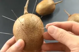 猕猴桃的“谜之操作”引起大量吐槽，消费者建议给猕猴桃改个名字图片