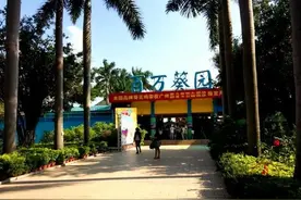 广州百万葵园门票22/人，一年四季繁花似锦，亲近大自然的好地方图片