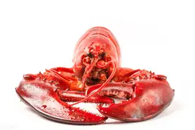 澳龙2天惨跌5元，百合大跌47%，大蒜成蒜你弱，咋回事？图片