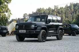 性能堪比50万SUV！正式上市却不到18万！这坦克300真香图片