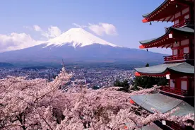 日本东京羽田机场国际线到达的程序流程图片