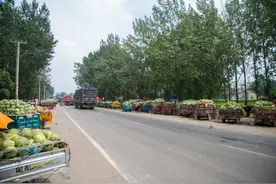 一斤西瓜才卖几分钱，低价卖瓜却遭遇滞销，瓜农说了几点原因图片