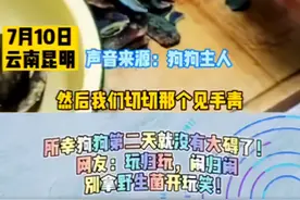 云南狗狗误食野生菌中毒后，从客厅舔到餐厅，然后一直在空咬骨头图片