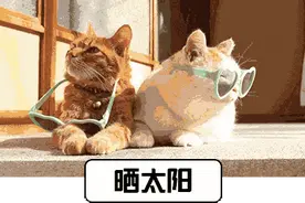 我州气温回升，部分地区高达20℃！元旦返程，要特别注意这些→图片