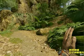 丛林地狱 第9期 修断桥 竹木资源获取途径 要小心蛇 蜘蛛 蚂蚁