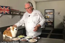 英国白金汉宫的柯基都吃啥？前御厨曝光女王家养狗生赢家的食谱图片