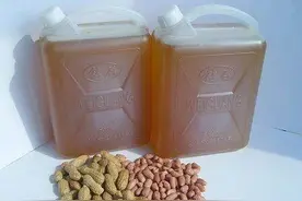 6元1斤花生仁，买了200斤压榨花生油，出油率多高？15元一斤贵吗图片