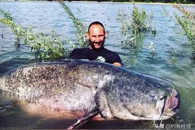 恒河的“烦恼”，鲶鱼已多到泛滥成灾，钓友：高价请我都不去钓！图片