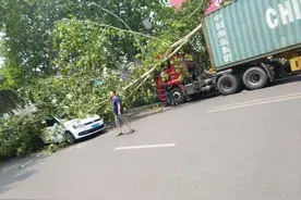 大货车剐断树枝 两辆过路车被“埋”图片