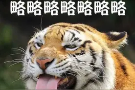 滑铲杀老虎是什么意思？滑铲杀老虎始末图片