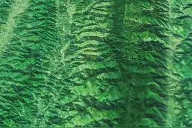 云南省的原始大山，哀牢山脉，这里的民间传唱着一首神秘的歌谣图片