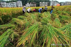 选举村民小组长无人愿意当，村民小组长究竟难在哪里图片