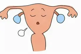 “石女”和正常女性有什么区别？她们能怀孕吗？图片