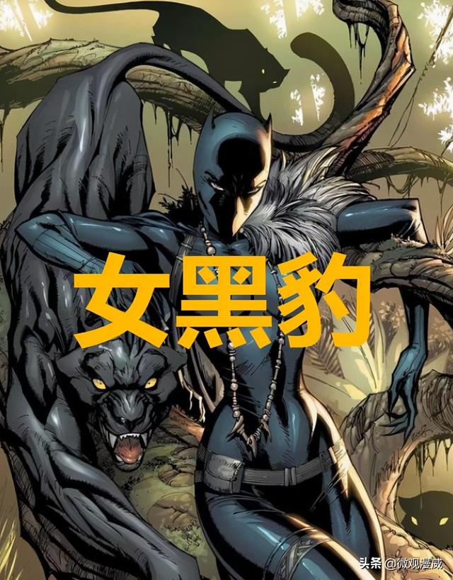 《黑豹2》中的心形草已被毁，苏睿公主到时靠什么成为女黑豹的？